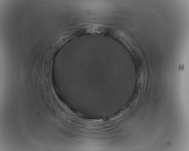 X0000097840513200803141211