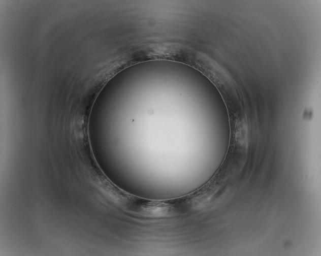X0000097840514200803141211