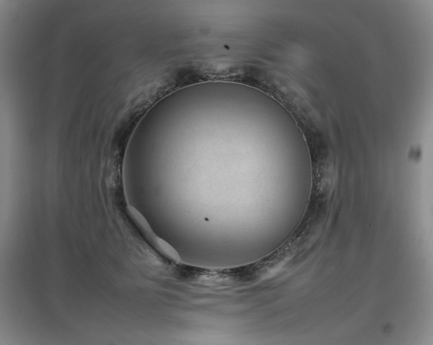X0000097840515200803141211