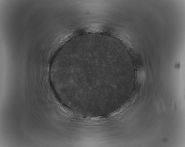 X0000097840517200803141211