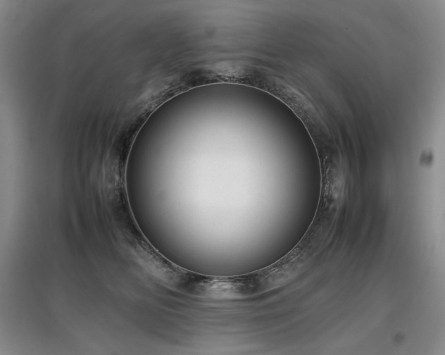 X0000097840518200803141211