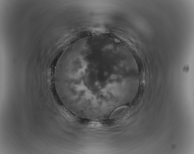 X0000097840519200803141211