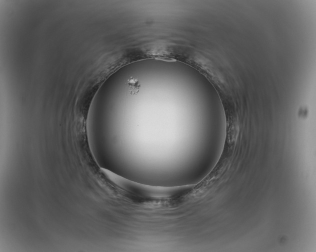 X0000097840521200803141211