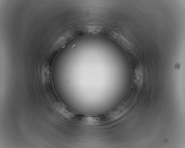 X0000097840522200803141211