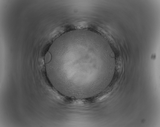 X0000097840523200803141211
