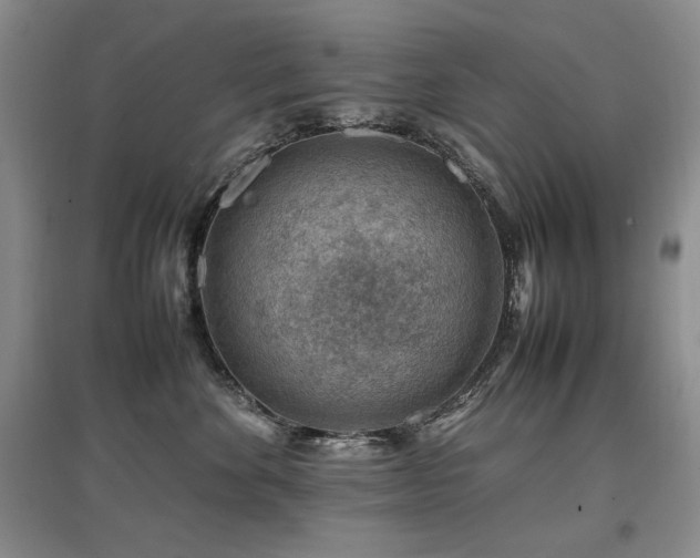 X0000097840524200803141211