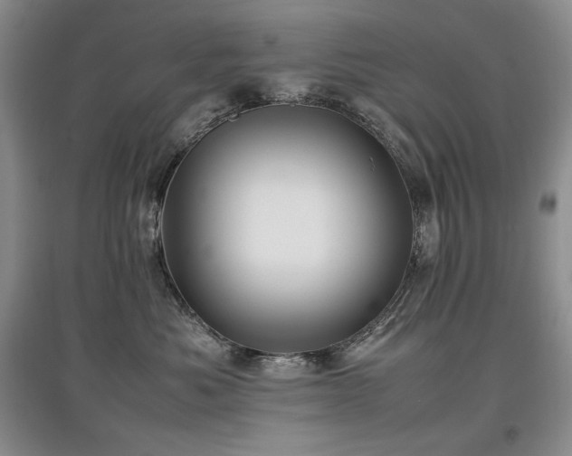 X0000097840525200803141211