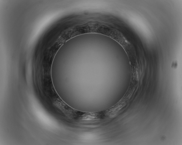 X0000097840526200803141211