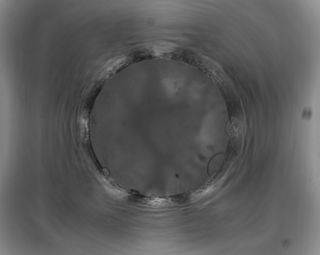 X0000097840527200803141211