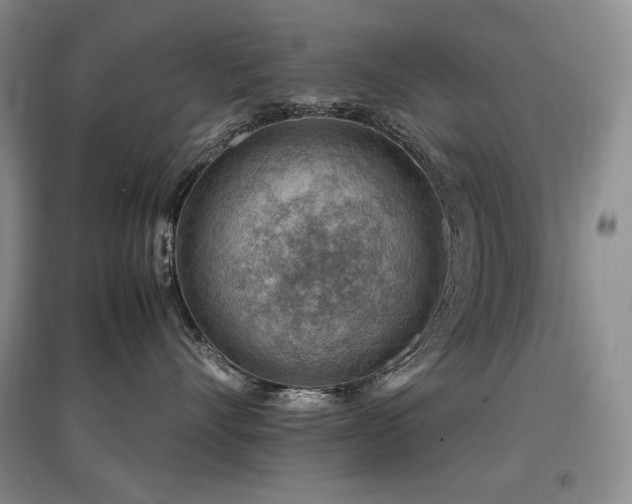 X0000097840528200803141211