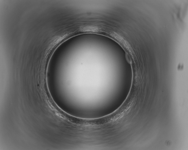 X0000097840529200803141210