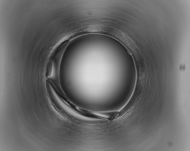 X0000097840530200803141210