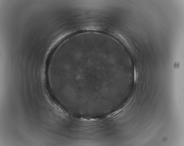 X0000097840531200803141210