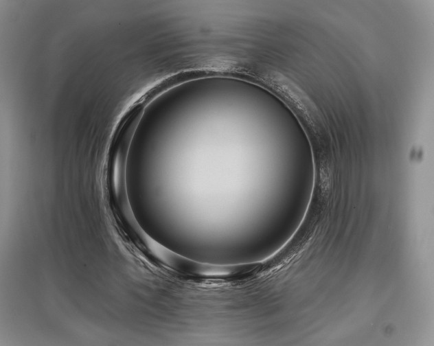 X0000097840532200803141210