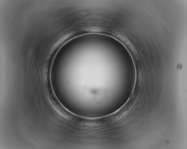 X0000097840533200803141210