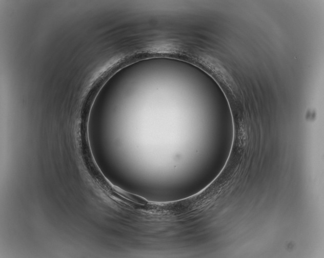 X0000097840535200803141210