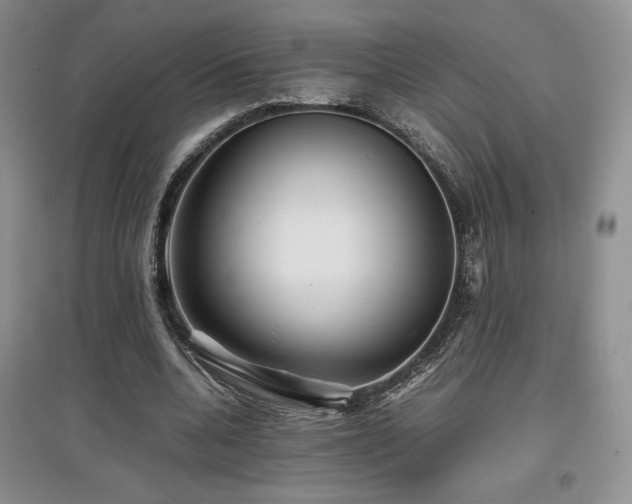 X0000097840536200803141210