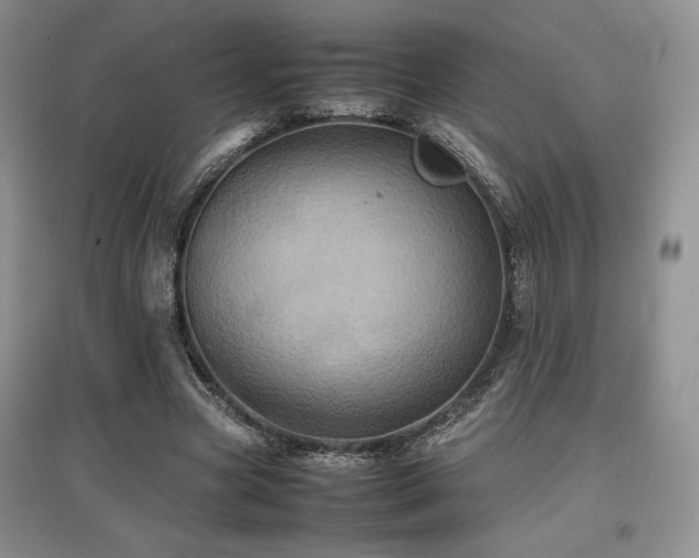 X0000097840537200803141210