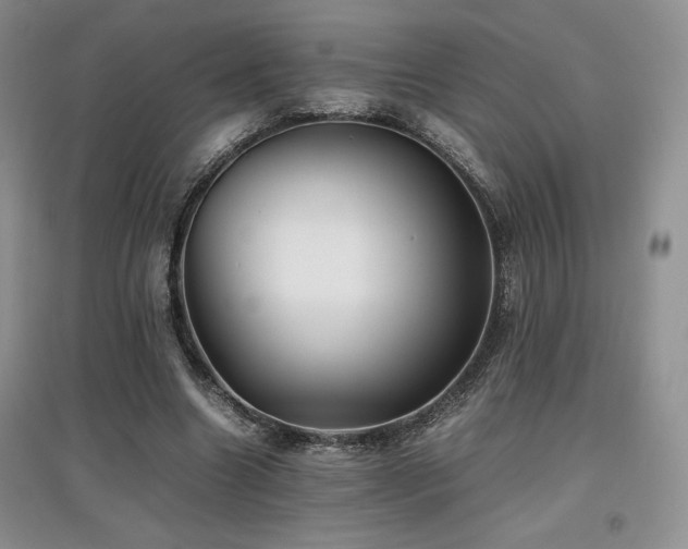 X0000097840538200803141210