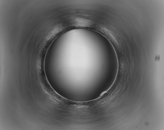 X0000097840539200803141210