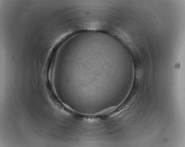 X0000097840540200803141210