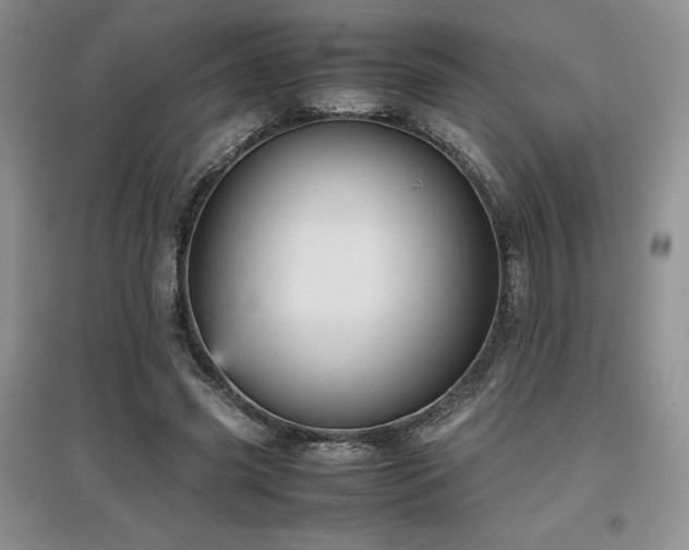 X0000097840541200803141210