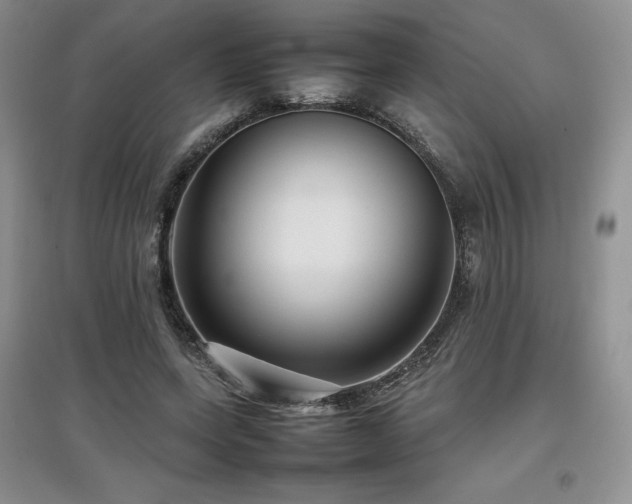 X0000097840543200803141210