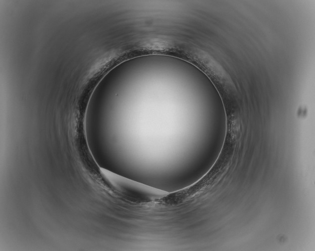 X0000097840544200803141210