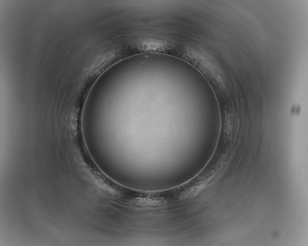 X0000097840545200803141210