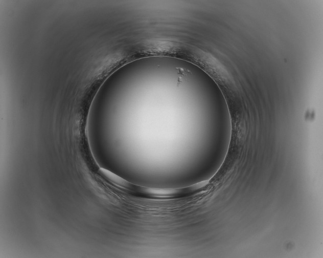 X0000097840546200803141210