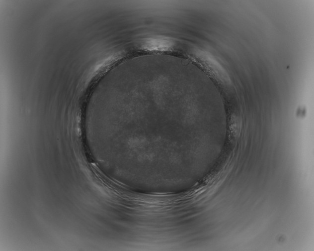 X0000097840547200803141210