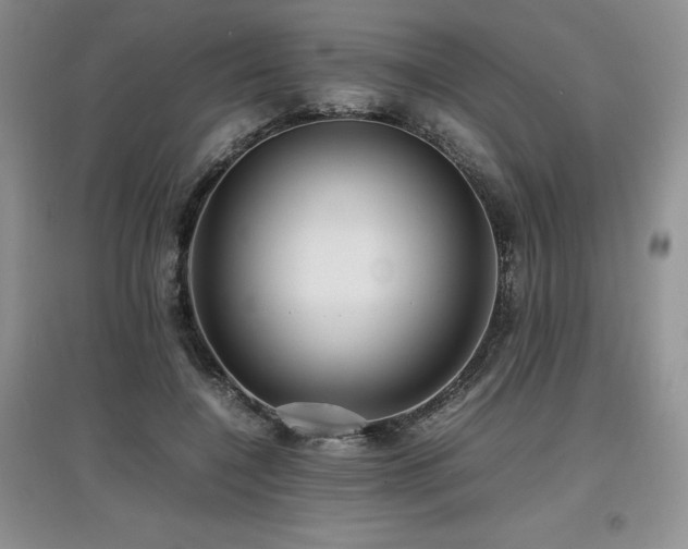 X0000097840548200803141210