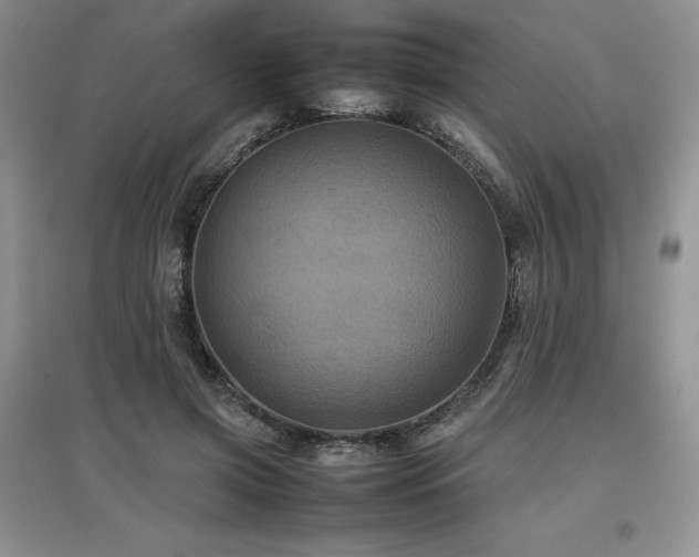 X0000097840549200803141210