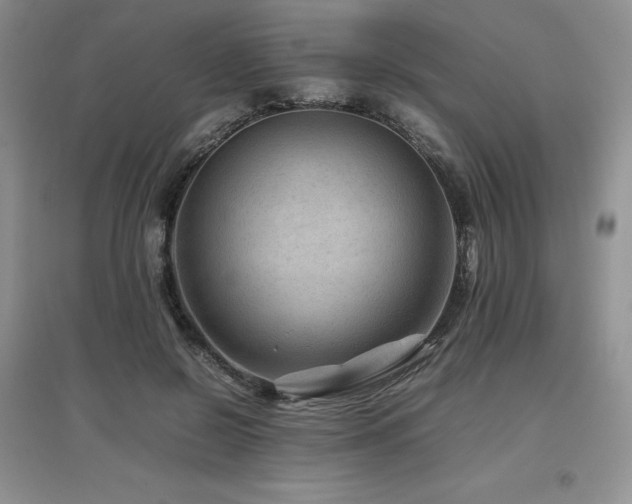 X0000097840550200803141210