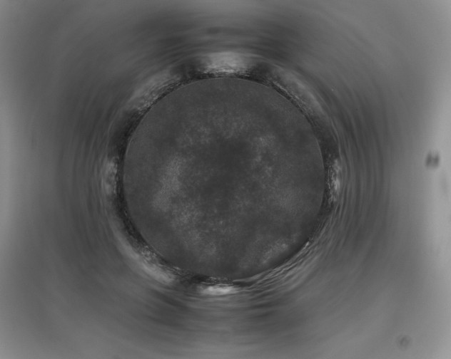X0000097840551200803141210