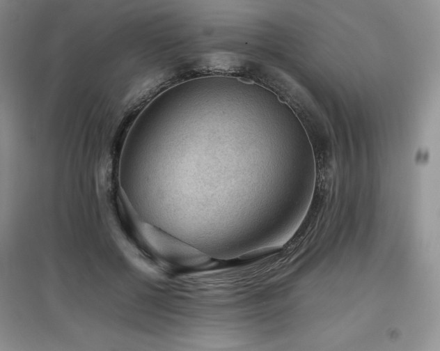X0000097840552200803141210