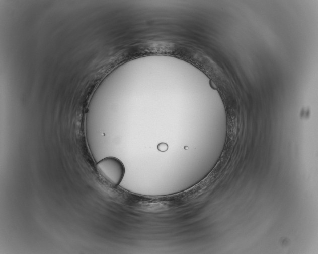 X0000097840553200803141210