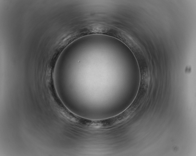 X0000097840554200803141210