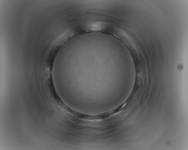 X0000097840555200803141210