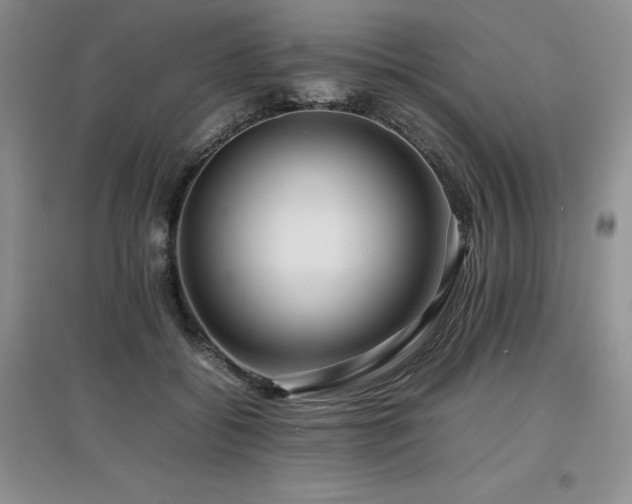 X0000097840556200803141210