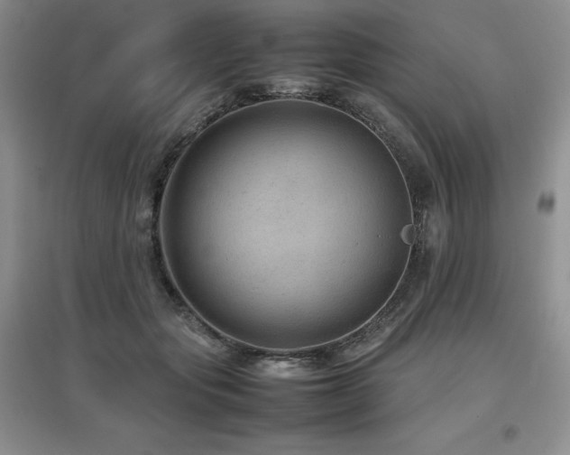 X0000097840557200803141210