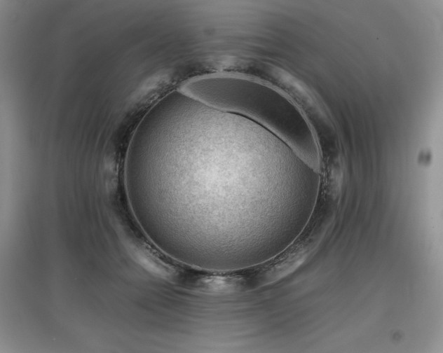 X0000097840558200803141210