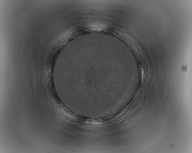 X0000097840559200803141210