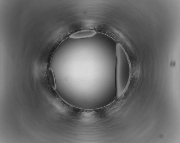 X0000097840560200803141210