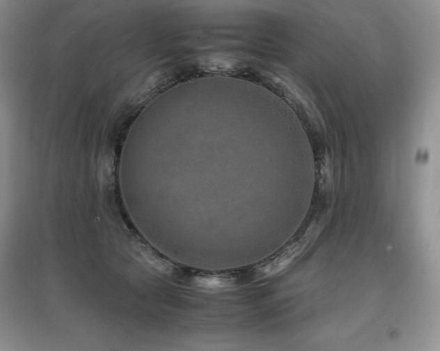 X0000097840561200803141210