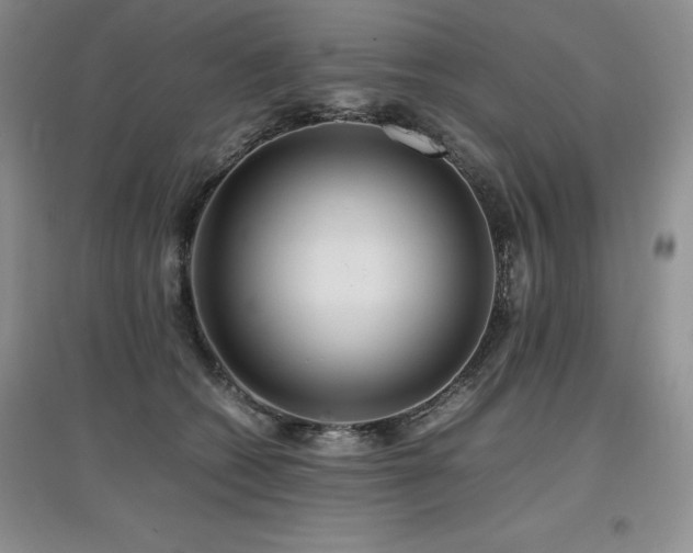 X0000097840562200803141210