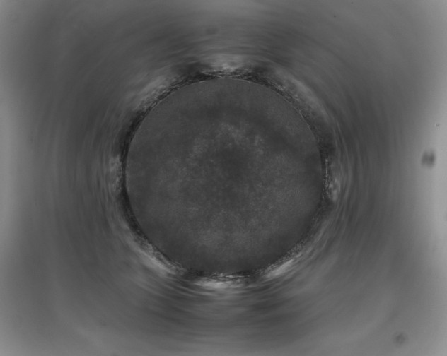 X0000097840563200803141210