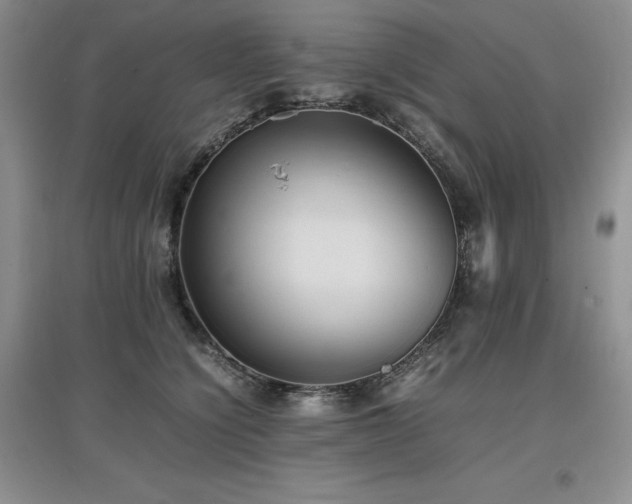 X0000097840564200803141210