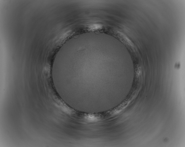 X0000097840565200803141210
