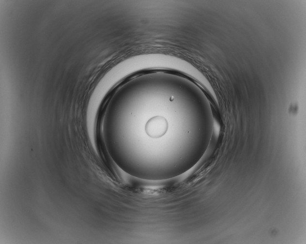 X0000097840566200803141210